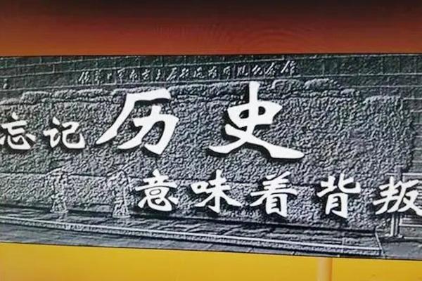 最新版字典，革新与进步的标志