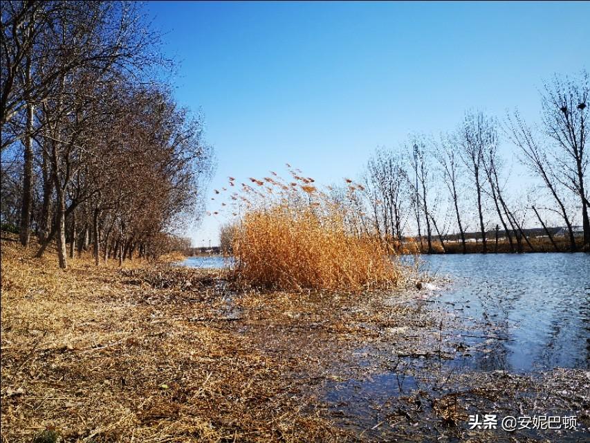 天津钓鱼新地点探索与实战体验