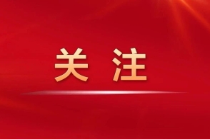 全球经济最新动态与市场趋势深度解析，金融新闻一览