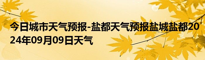 盐场街道天气预报及影响分析