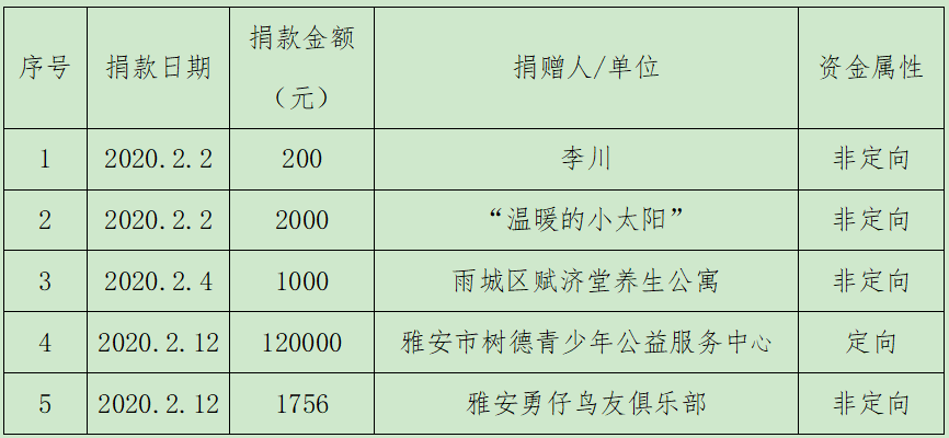 雨城区级托养福利事业单位项目深度探究