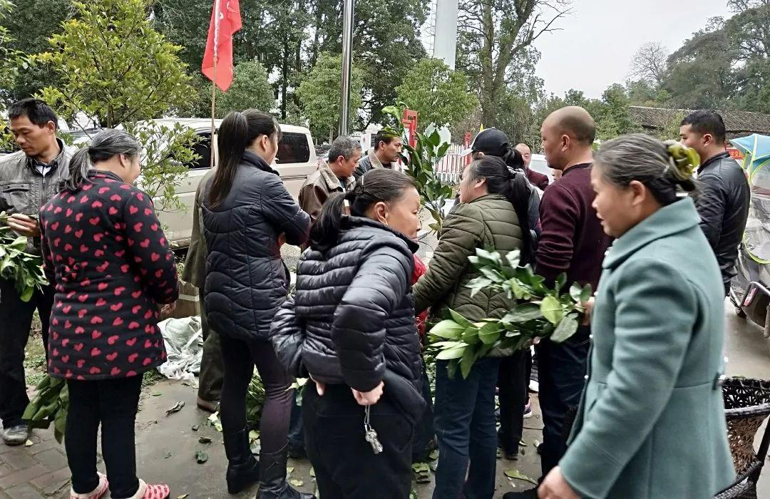 南村天气预报更新通知