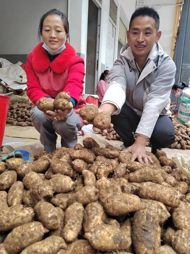 仙踪镇领导团队引领地方发展迈向崭新高度