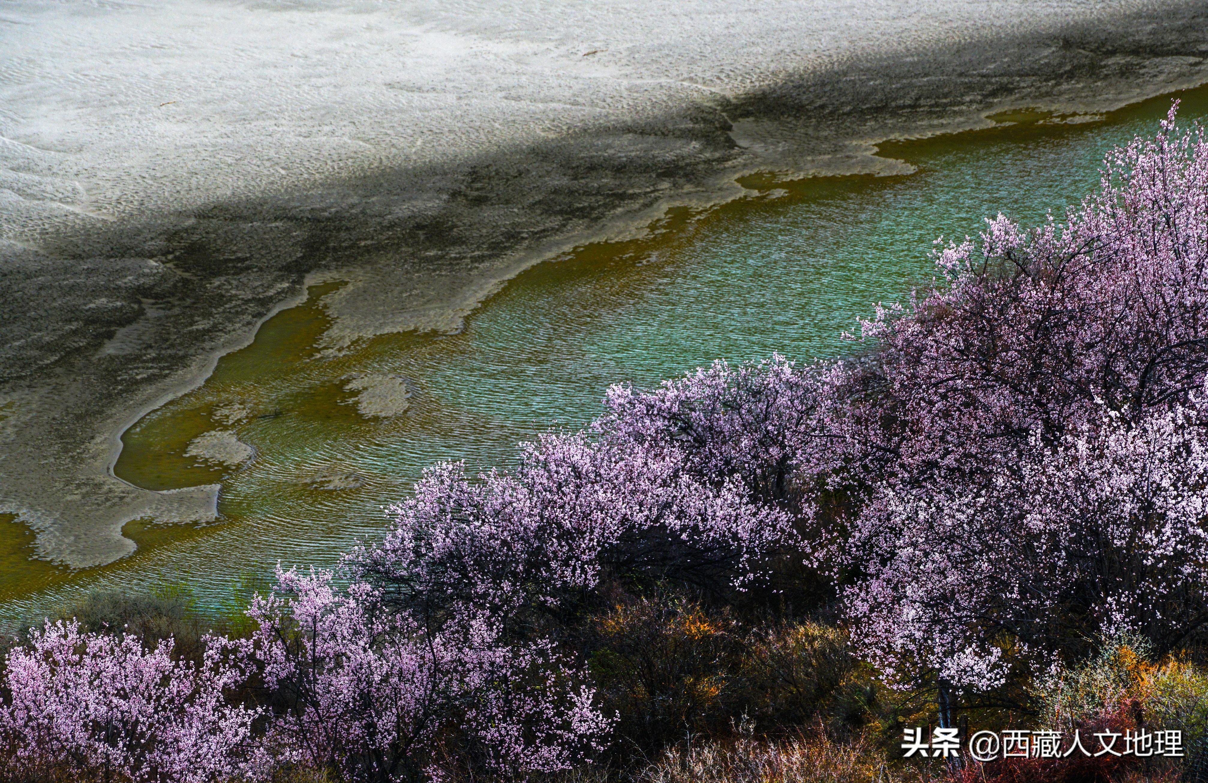 卓村新领导团队引领未来，铸就辉煌成就