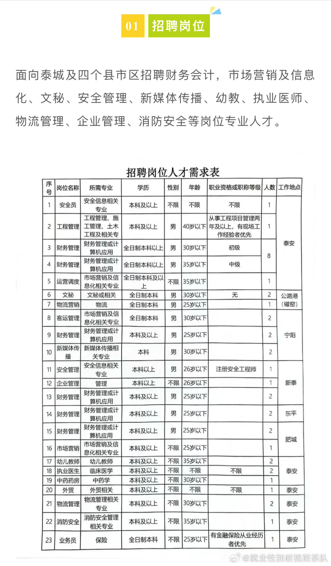 盐山县审计局最新招聘公告详解