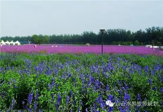 勤锋农场未来发展规划概览