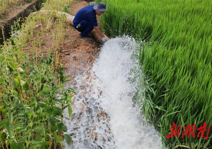 前福兴地乡最新新闻速递