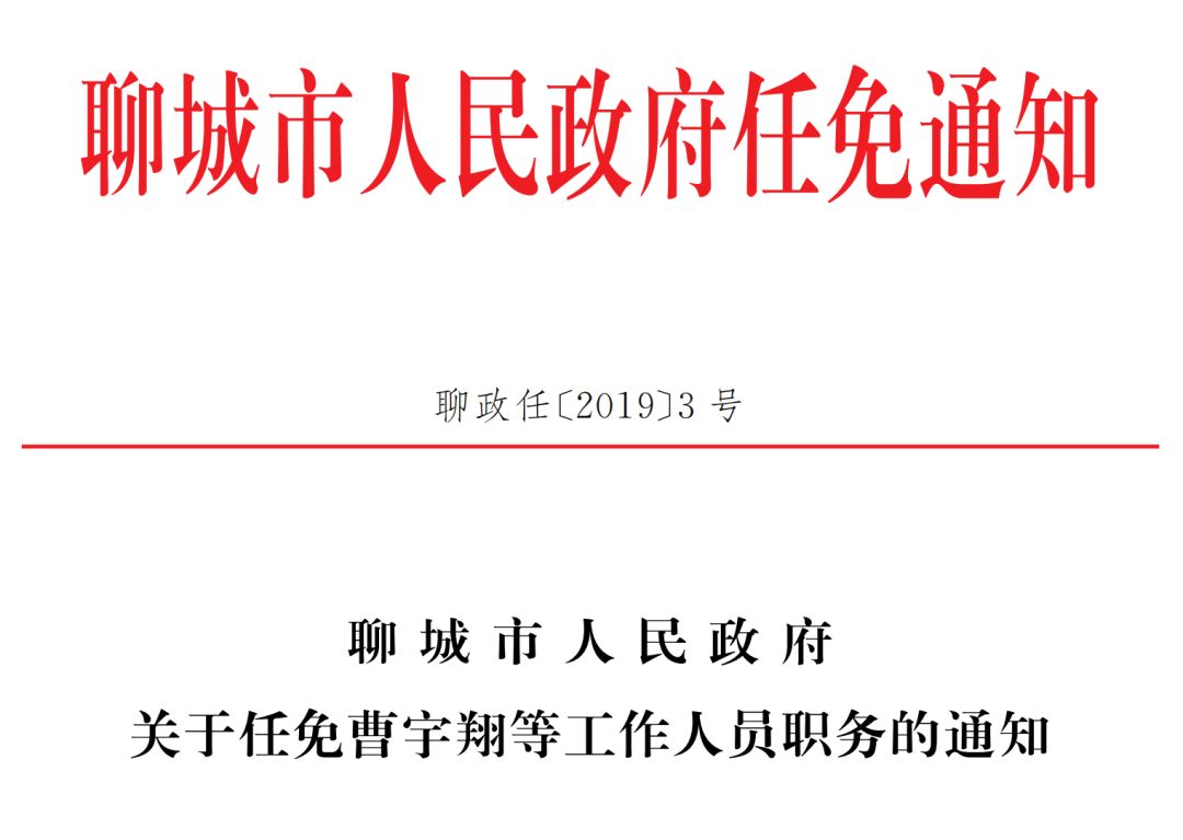 聊城市招商促进局人事任命动态更新