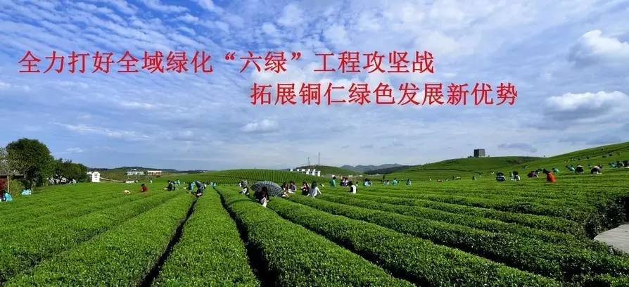 桓仁满族自治县农业农村局最新招聘公告详解