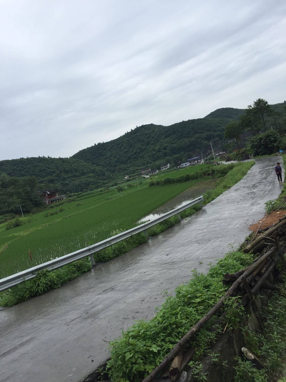 九溪镇天气预报更新通知