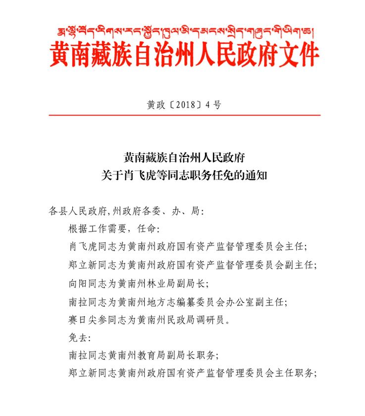 称多县应急管理局人事任命揭晓，构建更强大的应急管理体系