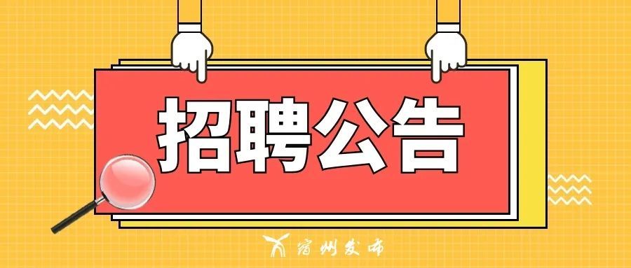 文安县医疗保障局招聘启事详解