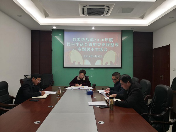 旌德县民政局发展规划，构建和谐社会，提升民生福祉服务